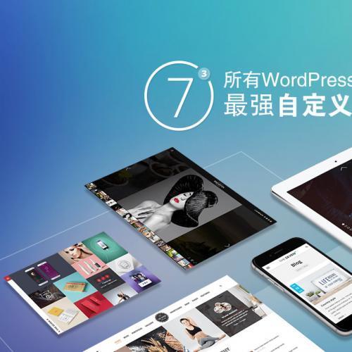 The7 v10.7.1 汉化版 WordPress多用途 多功能主题 企业主题 可视化拖拽编辑