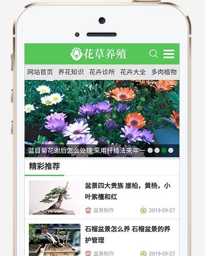 (PC+WAP)绿色花草植物网站源码 花卉养殖新闻资讯类pbootcms模板